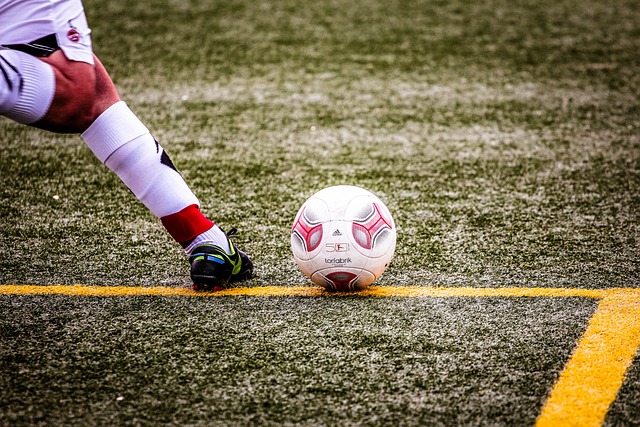 这些都表明 这些都表明