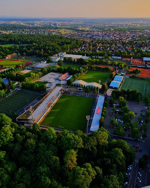 中占据主动 中占据主动