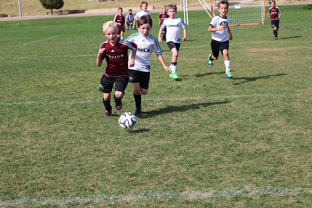 扶持绿色技 扶持绿色技