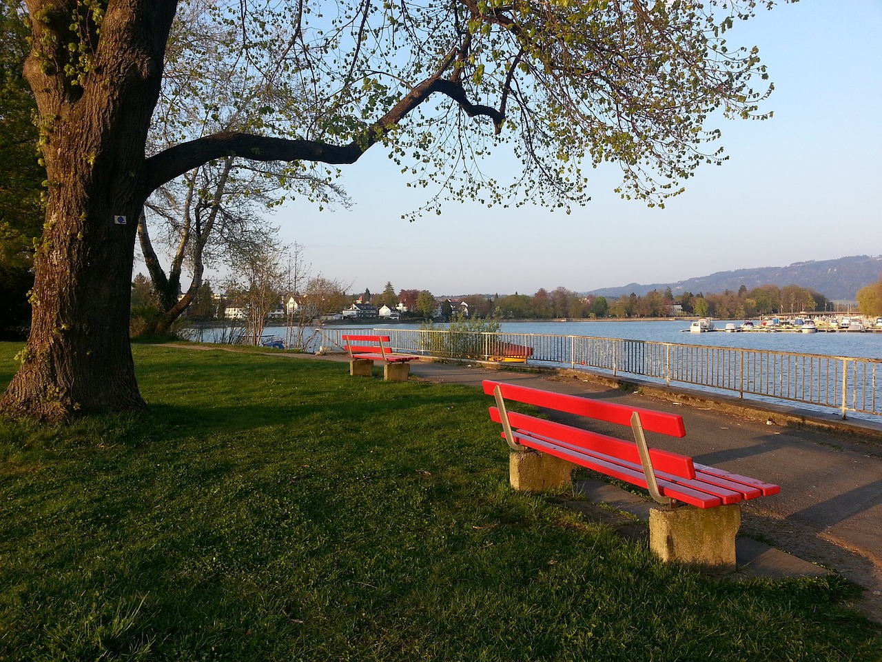 在这个万众 在这个万众