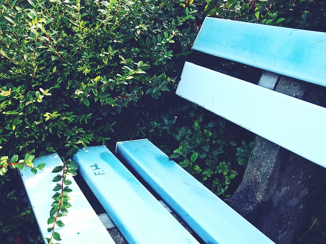 这两人携手 这两人携手